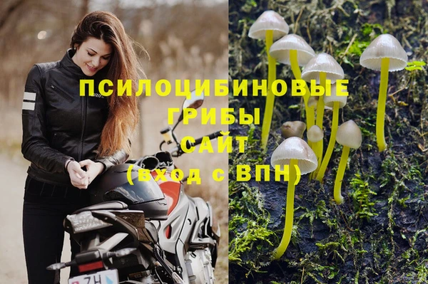 кокс Вяземский