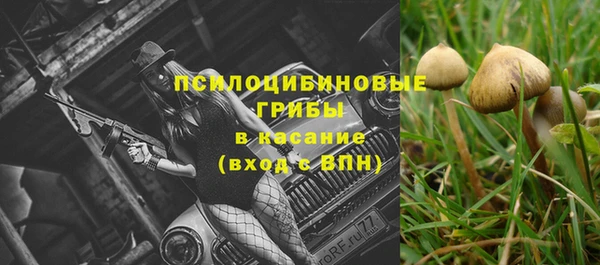 тгк Вязьма