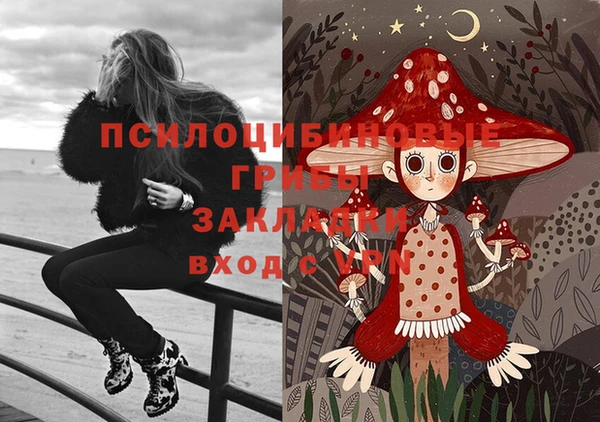 кокс Вяземский