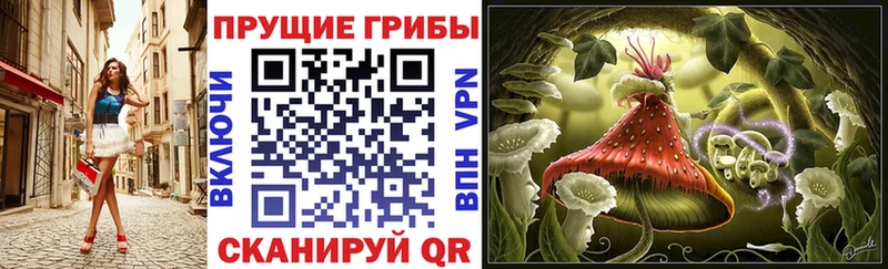 Галлюциногенные грибы MAGIC MUSHROOMS  Купить  Новоалександровск 