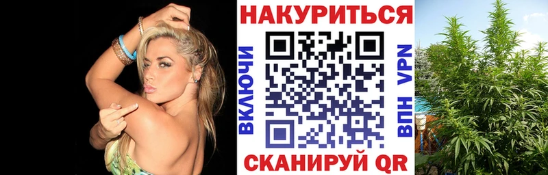 Бошки марихуана OG Kush  Купить закладки  Новоалександровск 